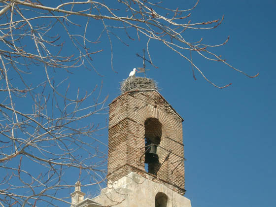 San_Sebastian_05_Ciguena